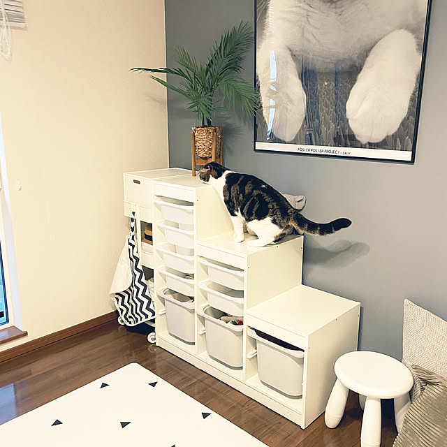 tansukeさんの部屋