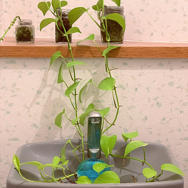 leeさんの実例写真