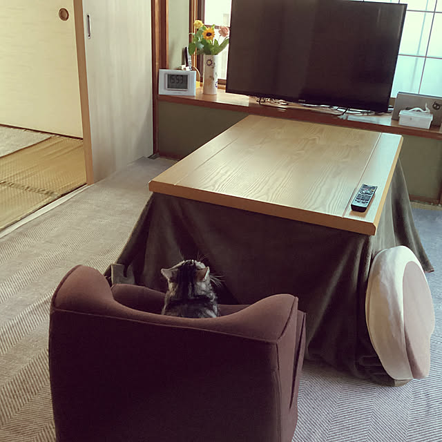 richanさんの実例写真