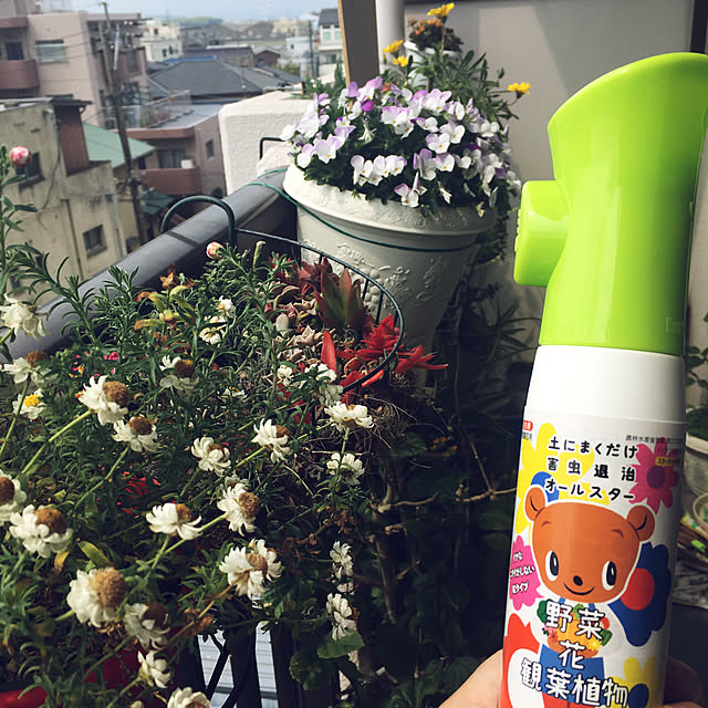 nanaさんの実例写真