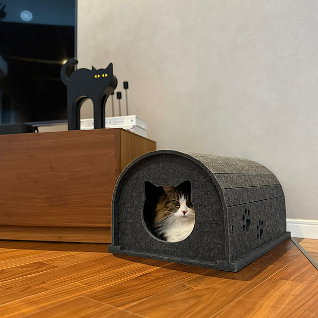 sakiさんの実例写真