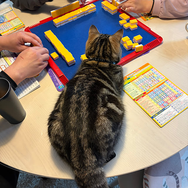 chiiさんの実例写真