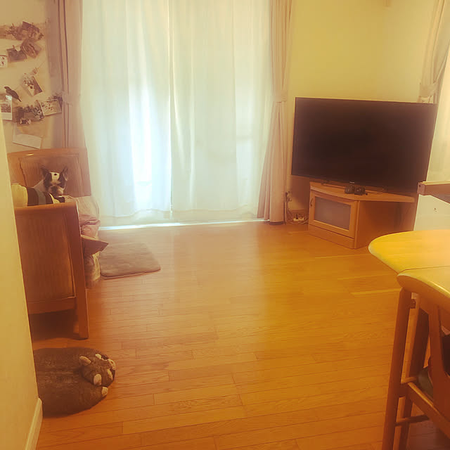 chi_gogaさんの実例写真