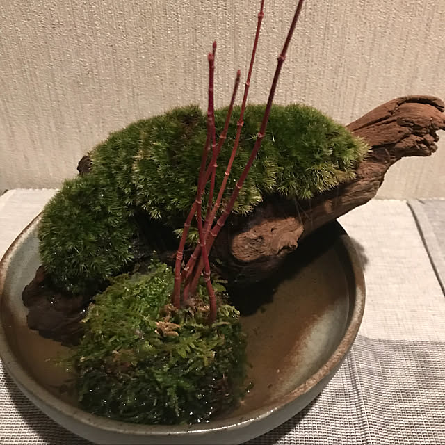 arimanaさんの実例写真