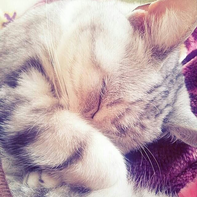 k.yknさんの実例写真