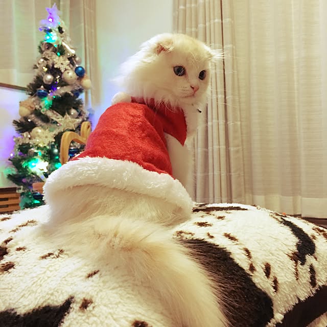 luna.comさんの実例写真