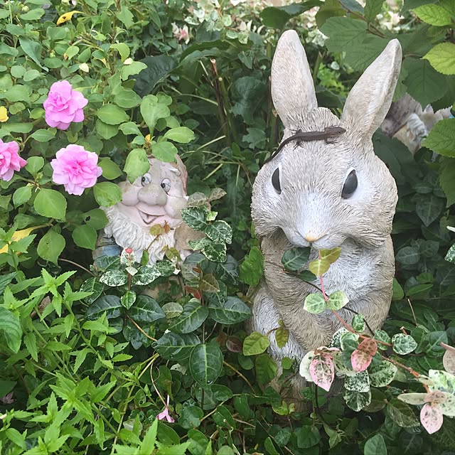 ogawacherryさんの実例写真