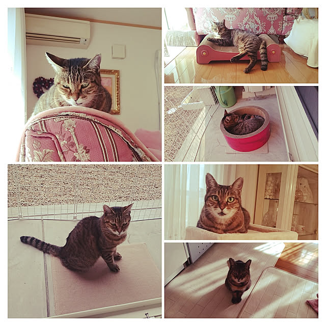 lilyさんの実例写真