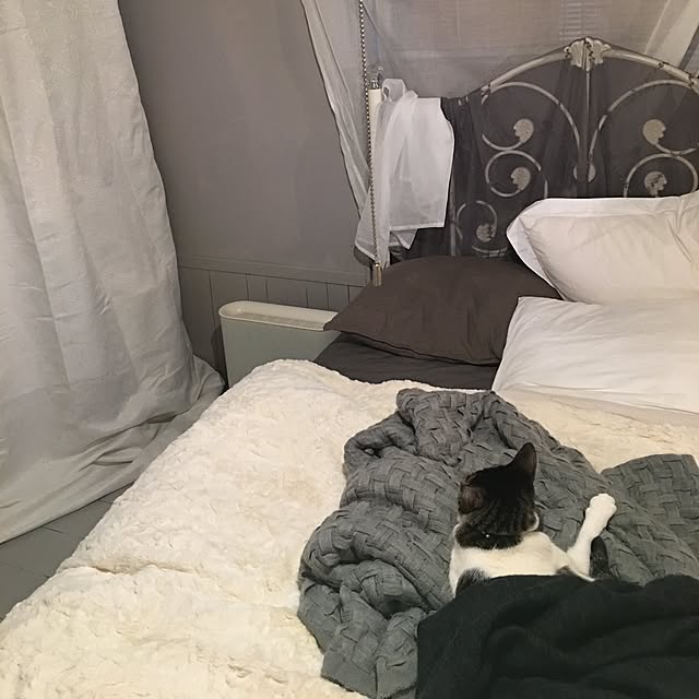 Shihoさんの実例写真