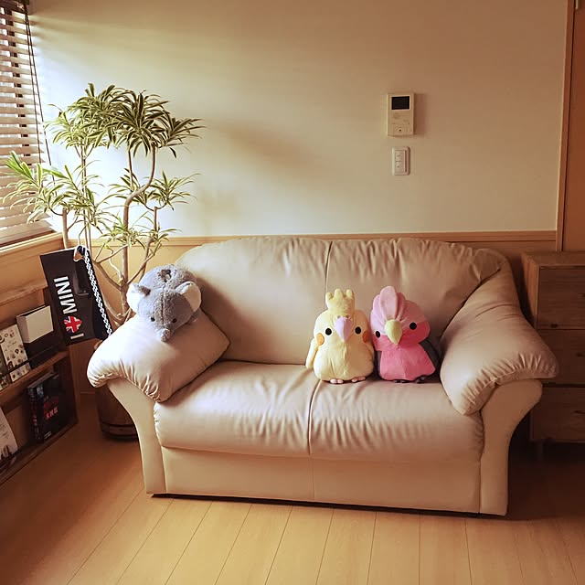 kaotanさんの実例写真