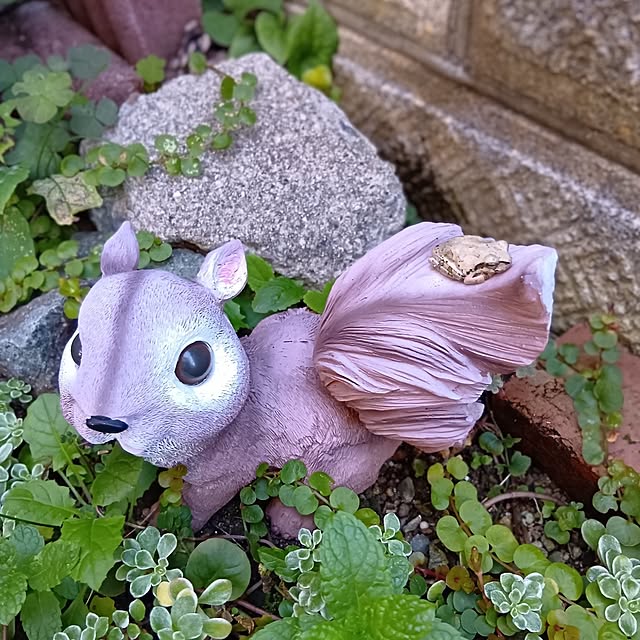 25Moondropsさんの部屋