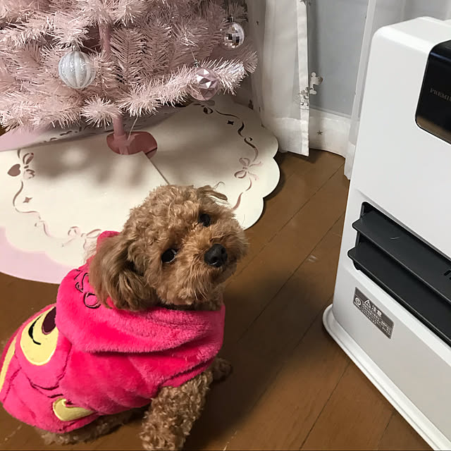 yuki89さんの実例写真