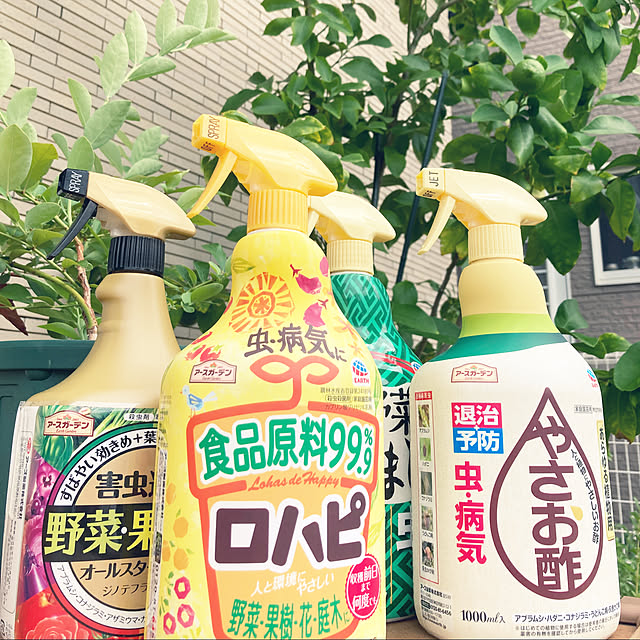 cocorin_homeさんの実例写真