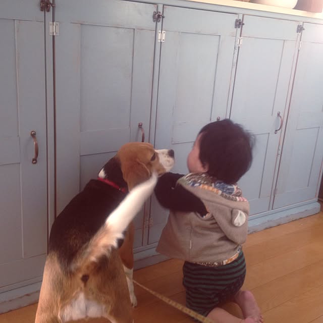 LILLBYさんの実例写真