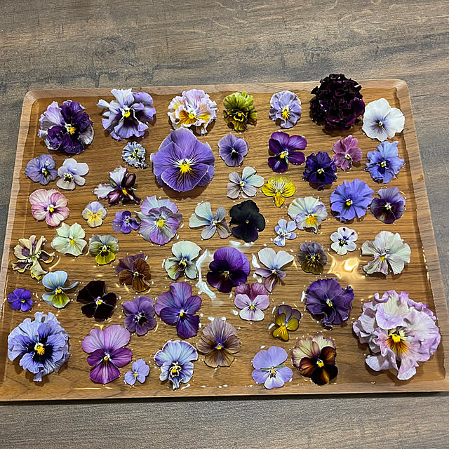 shiropenguinさんの部屋