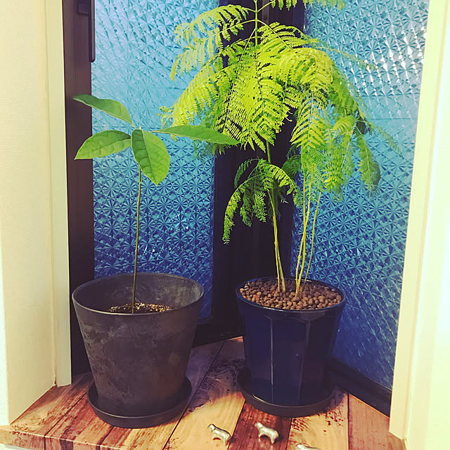 shoさんの実例写真