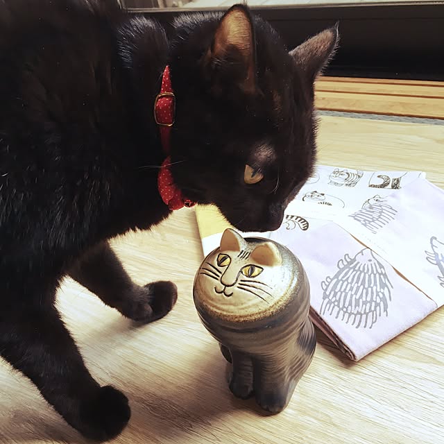 nonoさんの実例写真
