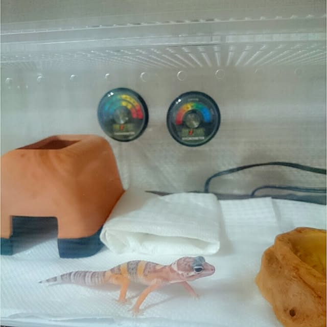 aikoさんの実例写真