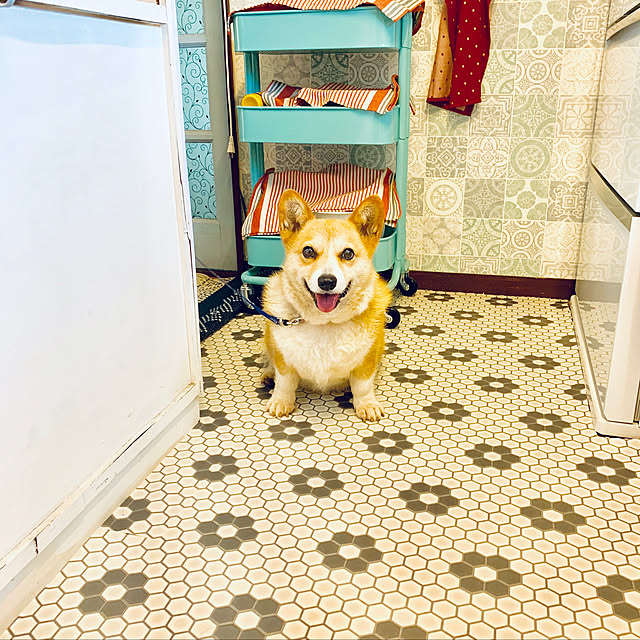 brownyさんの実例写真