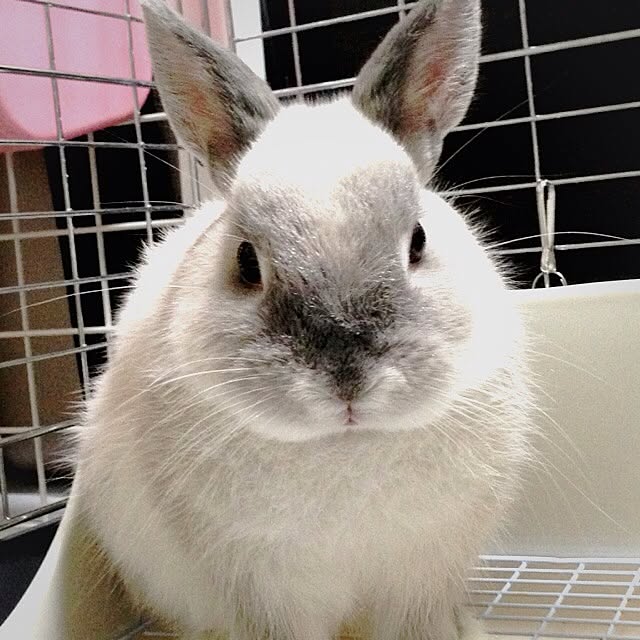 sapiさんの実例写真