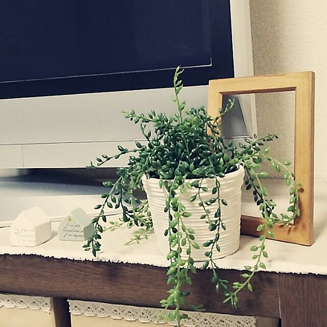misakiさんの実例写真
