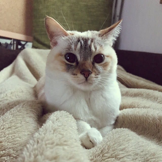 ri-さんの実例写真