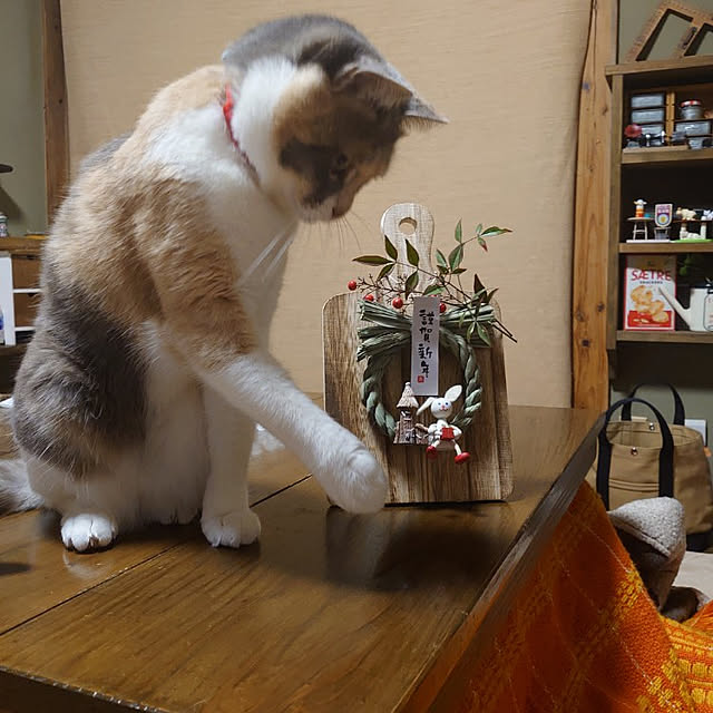 fukuさんの実例写真