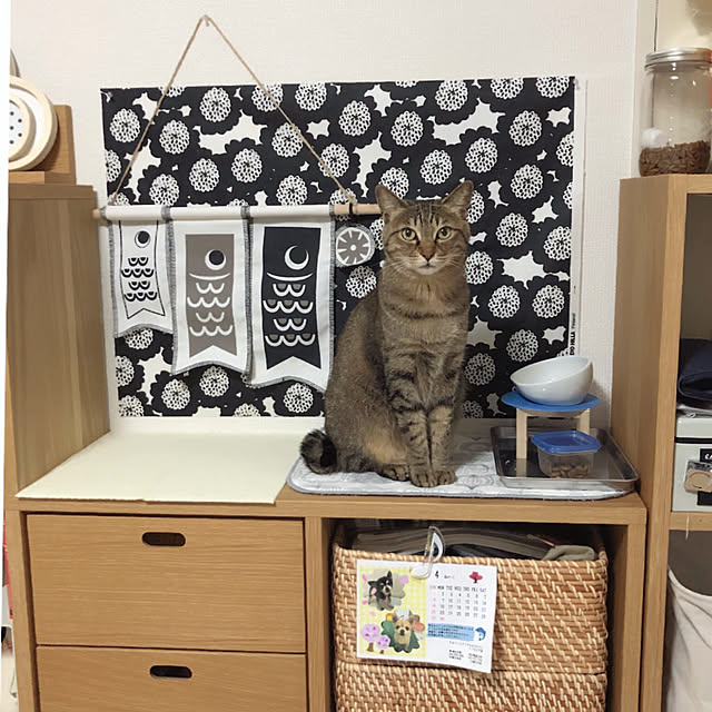 Emiさんの実例写真