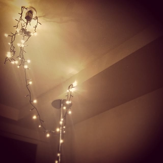 Saaさんの実例写真