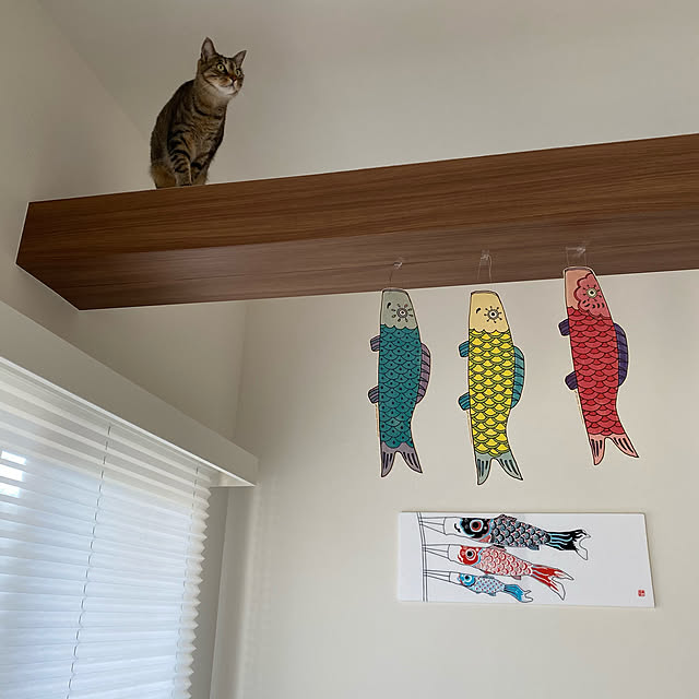 mikomaruさんの実例写真