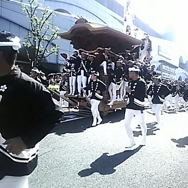 実例写真