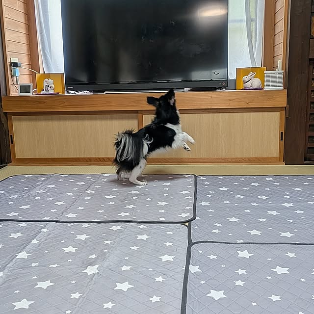 kuririnmamaさんの部屋