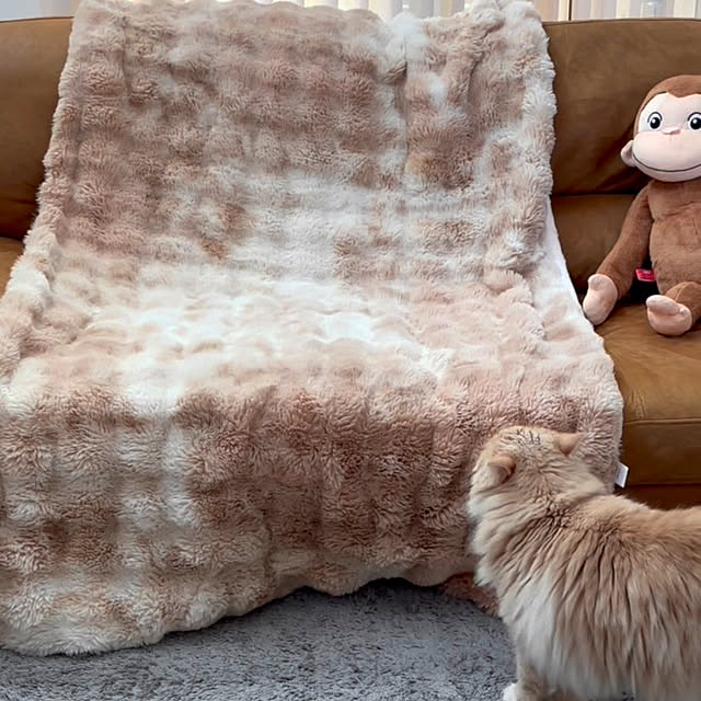 chibinoriさんの実例写真