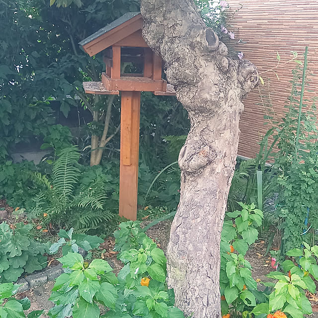 suzumetoriさんの実例写真