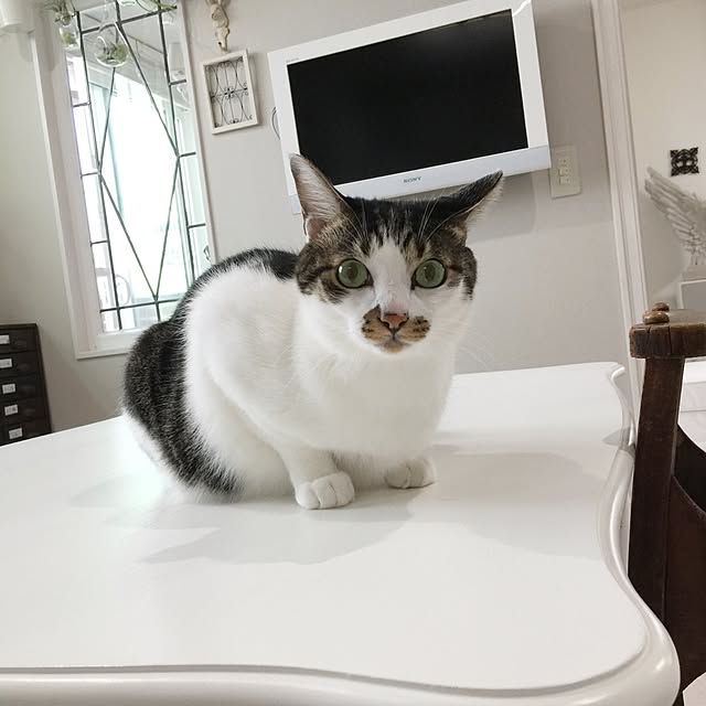 yuchiさんの実例写真