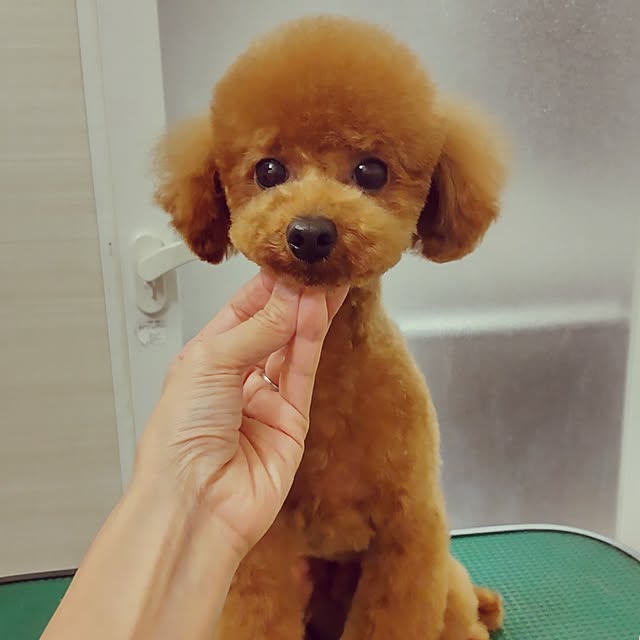 yuuさんの実例写真