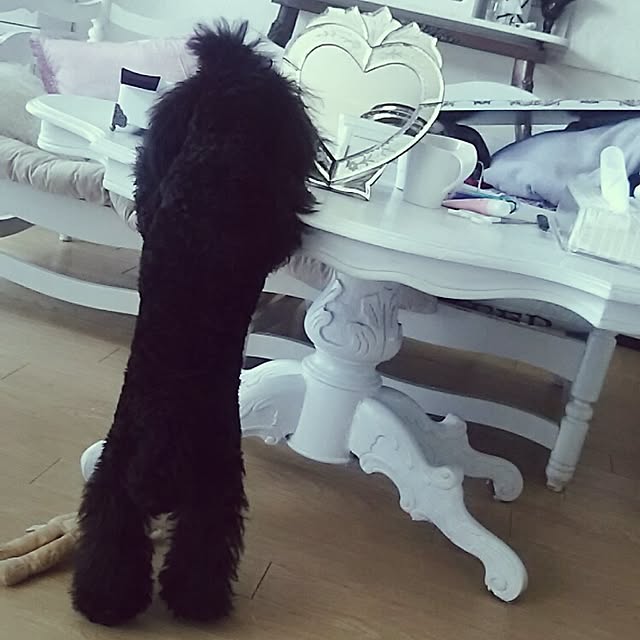junhimeさんの実例写真