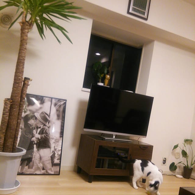 noguchiken0102さんの実例写真