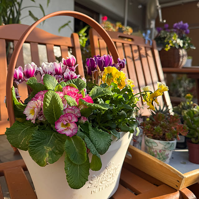 Aqettyさんの部屋