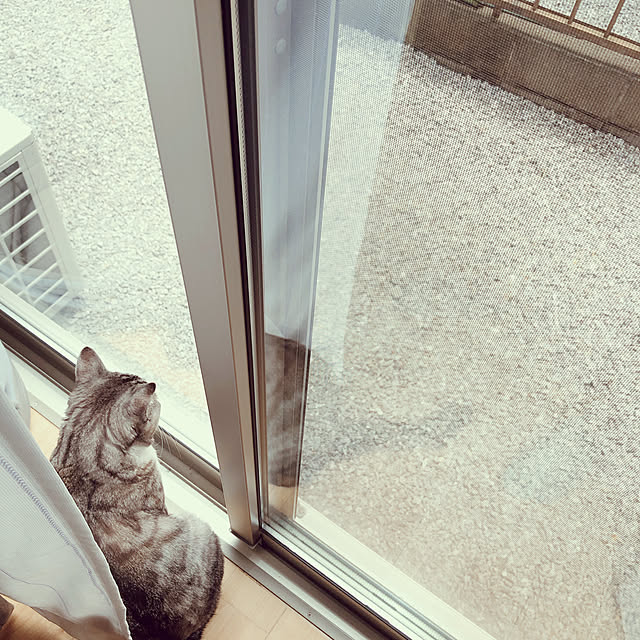 muuさんの実例写真