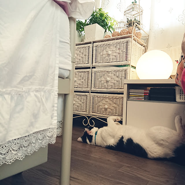 asuminさんの実例写真