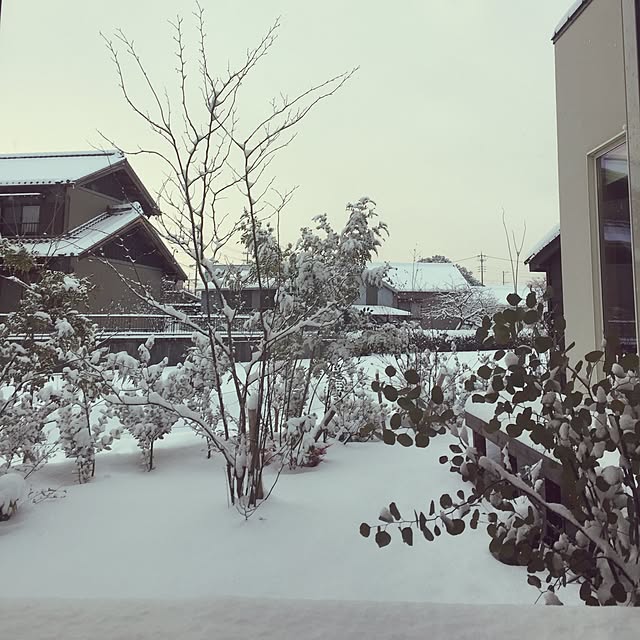 yumikoさんの実例写真