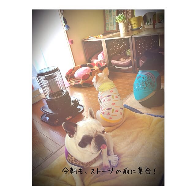 38coreさんの実例写真