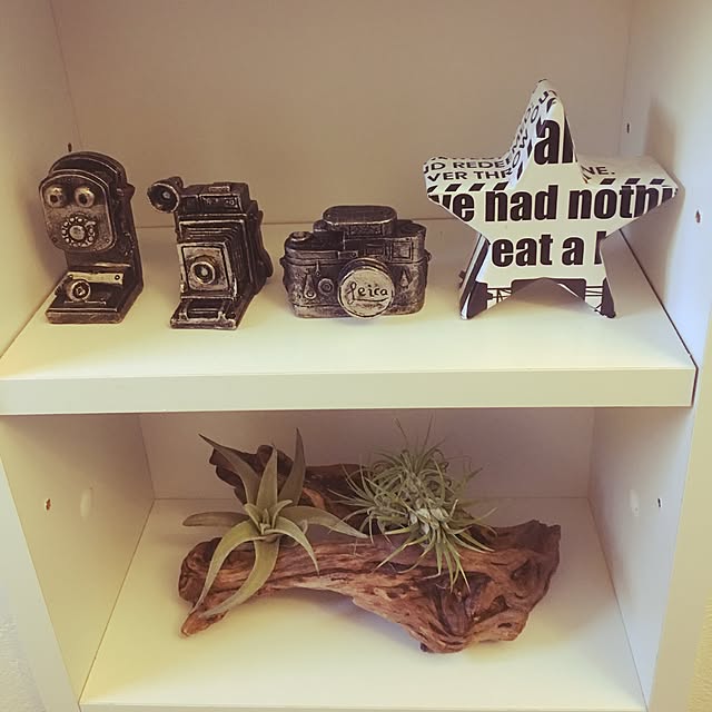 Apple222さんの実例写真