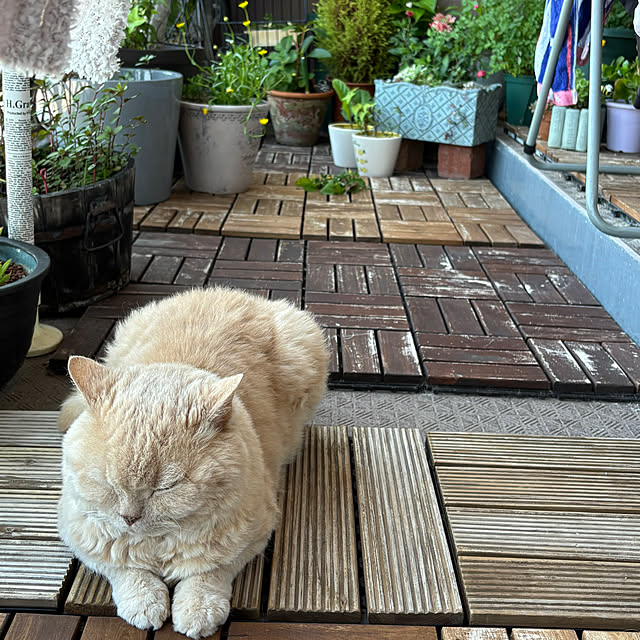 naokoさんの部屋