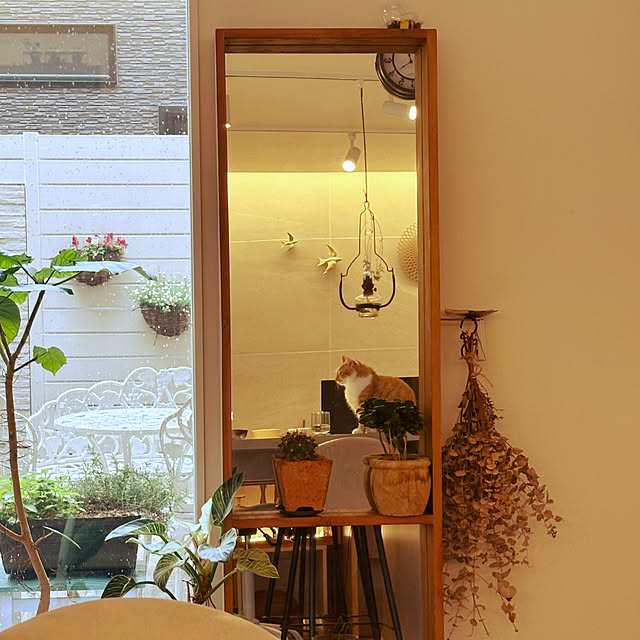 lemonadeさんの部屋