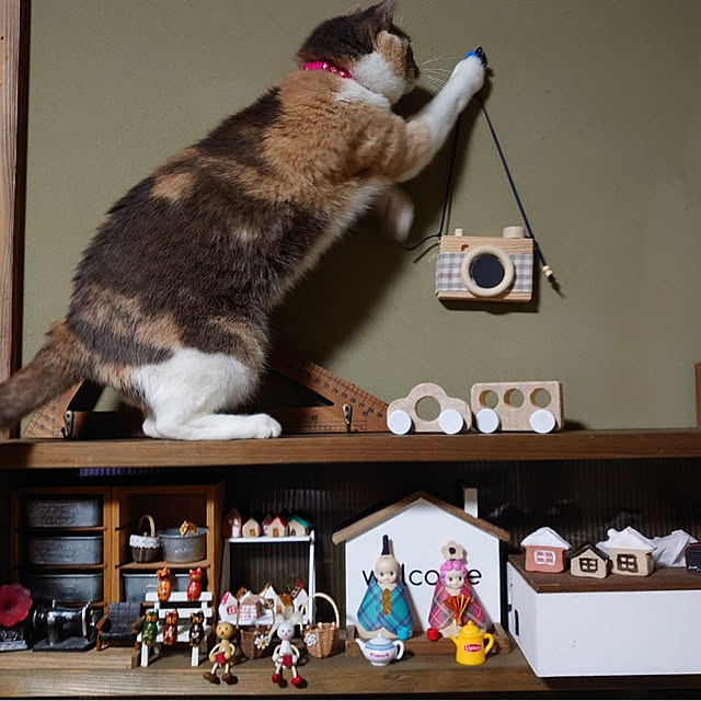 fukuさんの実例写真