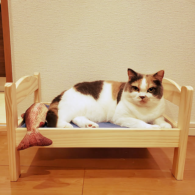 Marieさんの実例写真