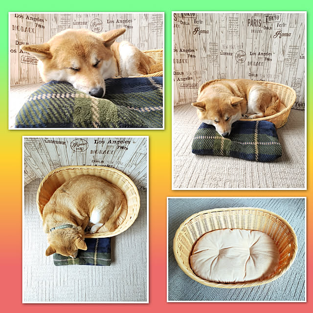 nanaさんの実例写真