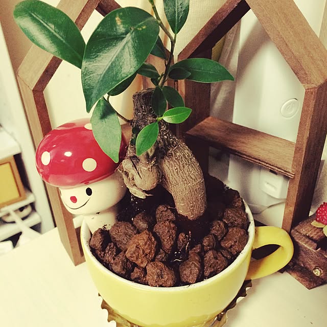 kanashinnsuさんの実例写真